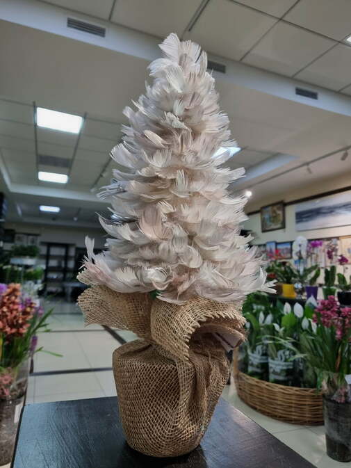 Ялина з пір’я