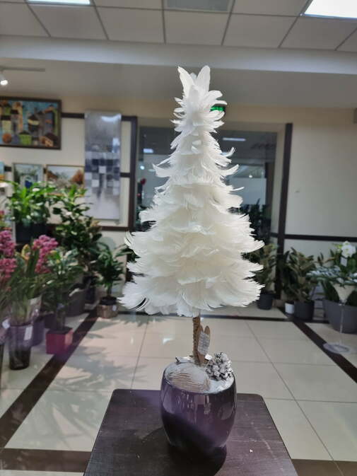 Ялина з пір’я біла