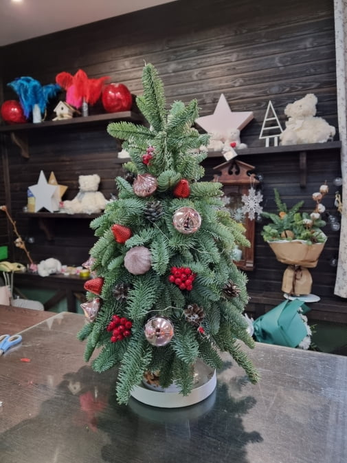 Новорічна Ялинка з Нобілісу
