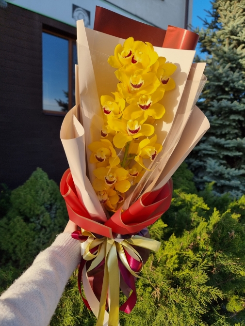 Цимбідіум міні Букет №167