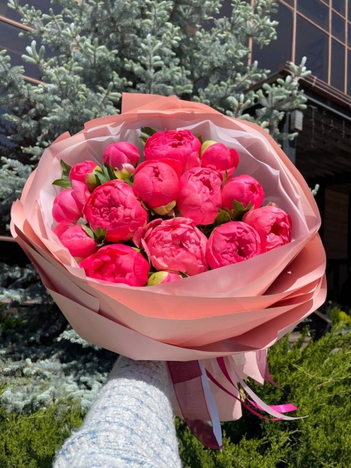 15 Пионов Коралл Шарм Букет №176