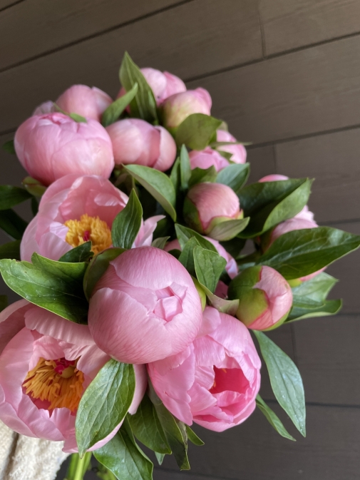 Пион розовый поштучно