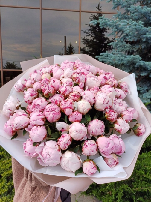 71 Пион Сара Бернард Букет №181