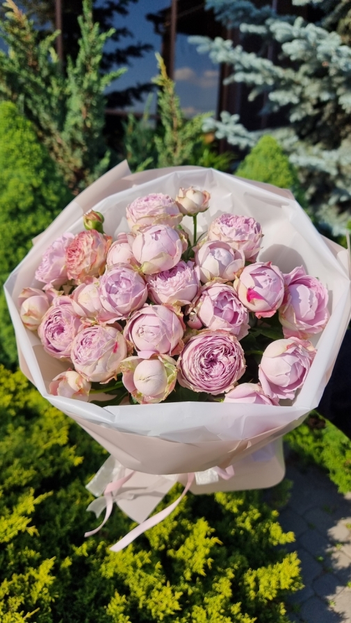 Троянда Блоссом Баблз Букет №183