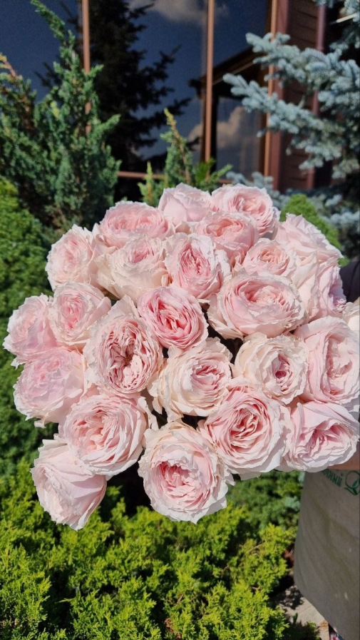 25 Троянд Парфюм Букет №193