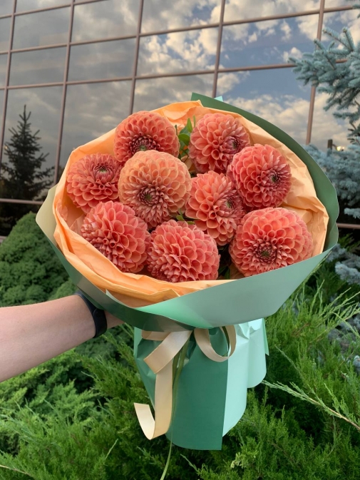 9 Георгин Моно Букет №209