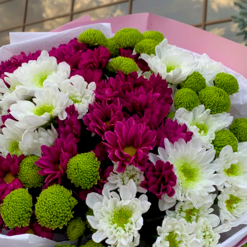 Хризантеми