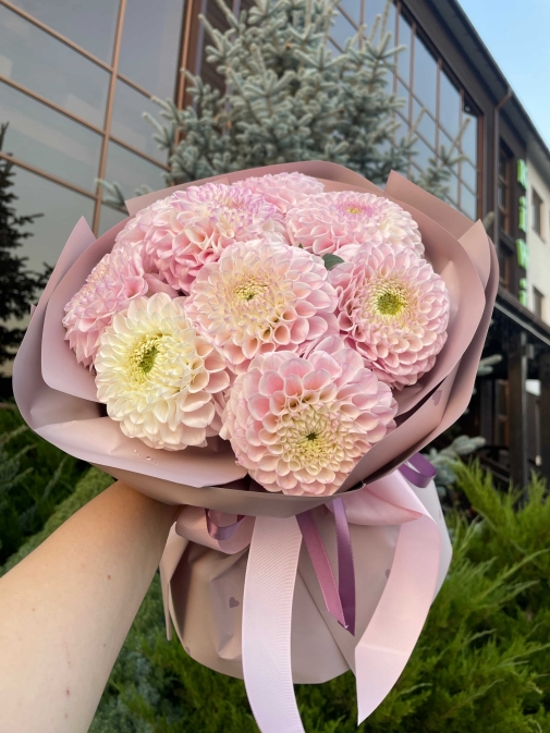 9 Георгин Букет №215