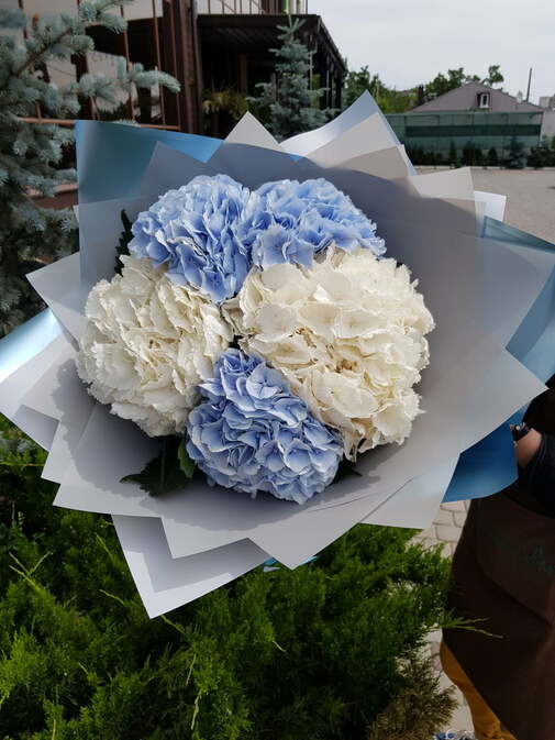 5 Гортензій Букет #35